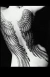Angel wings pic tattoo image